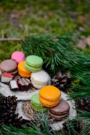 Colorful and sweet macaroon cookies, picnic in the forestの写真素材
