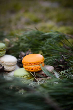 Colorful and sweet macaroon cookies, picnic in the forestの写真素材