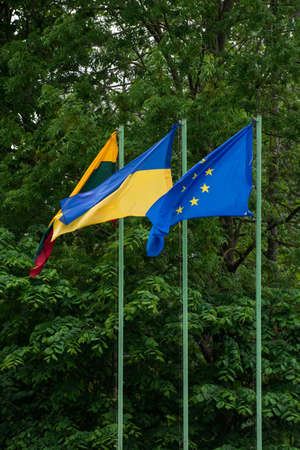 Flags of European Union, Ukraine and Lithuania, green backgroundの写真素材