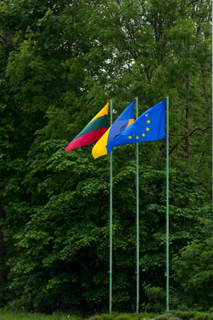 Flags of European Union, Ukraine and Lithuania, green backgroundの写真素材