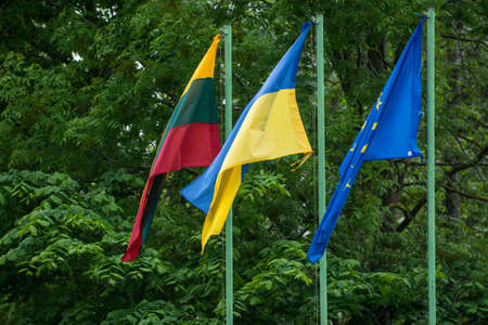 Flags of European Union, Ukraine and Lithuania, green backgroundの写真素材