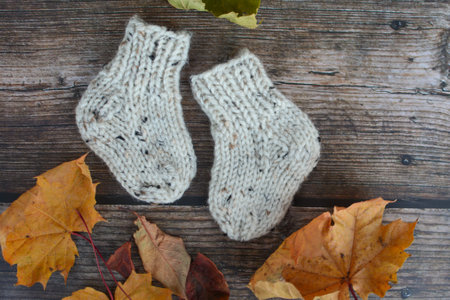 Small chunky and warm newborn baby socks and dry leaves on dark wooden background.の写真素材
