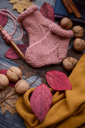 Finished knitting project, soft and unique handmade socks for newborn baby, made of premium alpaca wool yarn, on dark wooden background, dry autumn leaves and walnuts on the tableの写真素材