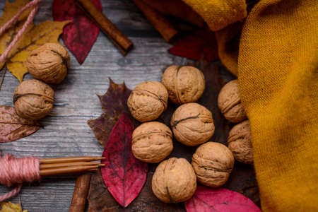 Finished knitting project, soft and unique handmade socks for newborn baby, made of premium alpaca wool yarn, on dark wooden background, dry autumn leaves and walnuts on the tableの写真素材