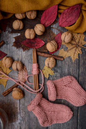Finished knitting project, soft and unique handmade socks for newborn baby, made of premium alpaca wool yarn, on dark wooden background, dry autumn leaves and walnuts on the tableの写真素材