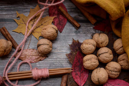 Finished knitting project, soft and unique handmade socks for newborn baby, made of premium alpaca wool yarn, on dark wooden background, dry autumn leaves and walnuts on the tableの写真素材