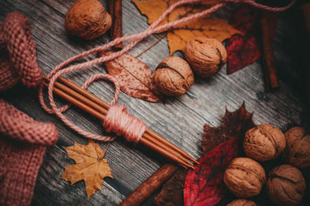 Finished knitting project, soft and unique handmade socks for newborn baby, made of premium alpaca wool yarn, on dark wooden background, dry autumn leaves and walnuts on the tableの写真素材