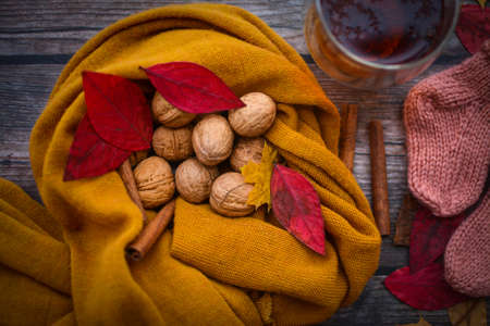 Finished knitting project, soft and unique handmade socks for newborn baby, made of premium alpaca wool yarn, on dark wooden background, dry autumn leaves and walnuts on the tableの写真素材