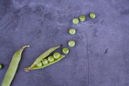 Green peas in the pods on a gray background. Close-up.の写真素材