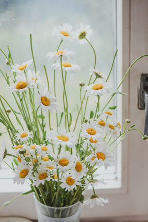 Bouquet of daisies in a vase on the windowsillの写真素材