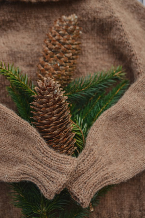 Fir tree branch with cones on burlap background. Christmas conceptの写真素材