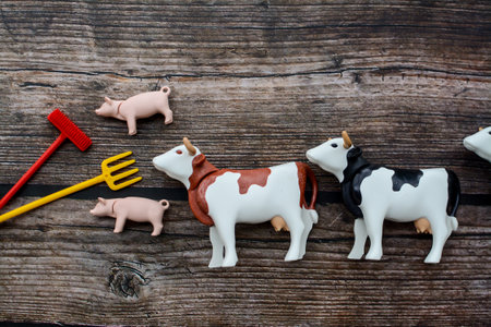 Cows and bulls toy on a wooden background. Farm animals.の写真素材
