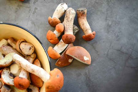 Mushroom Boletus Edulis in a bowl on gray backgroundの写真素材