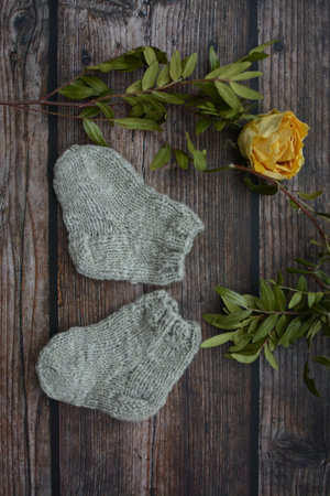 Woolen socks with a yellow rose on a wooden background.の写真素材