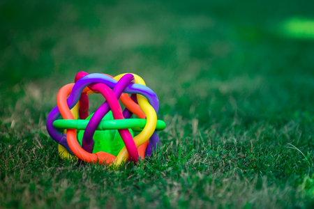 Colorful plastic toy on green grass background. Selective focus.の写真素材