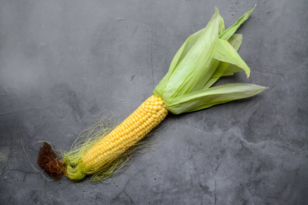 Ripe corn on the cob on a gray background, top view