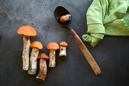 Mushroom Boletus edulis, known as penny bun or porcini mushroomの写真素材