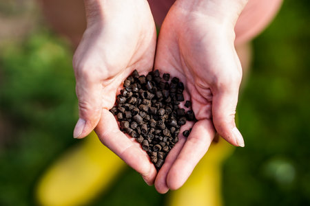 Organic fertilizers in gardener's handの写真素材