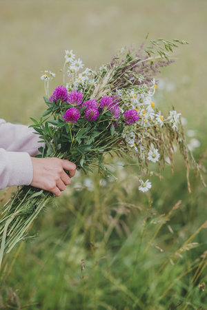 Bouquet of wildflowers in the hands of a girl in a fieldの写真素材