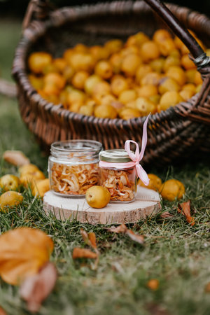 Mason jars with dried quinces on the grass in the gardenの写真素材