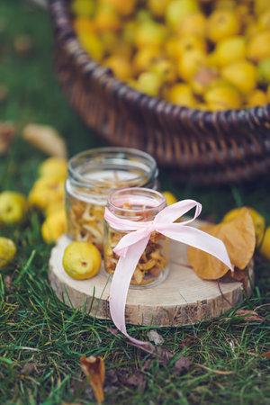 Preserved yellow quince fruits in a glass jar in the gardenの写真素材