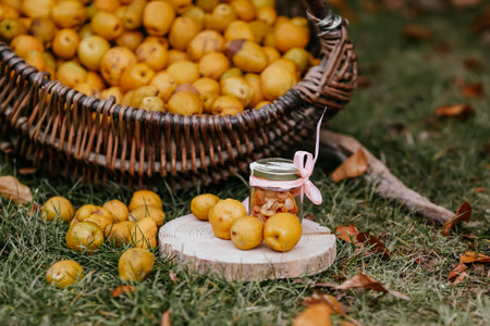 Fresh quinces in a wicker basket on the grass in autumnの写真素材