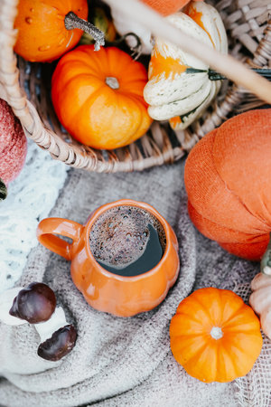 Autumn still life with a cup of coffee, pumpkins and marshmallowsの写真素材