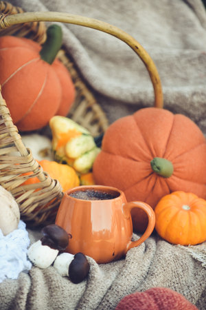 Autumn still life with cup of coffee, pumpkins and scarfの写真素材