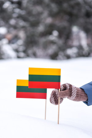 Hand holding a Lithuanian flag in the snow. Selective focus.の写真素材