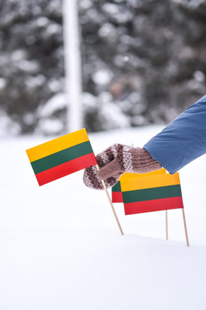 Hand in mittens holding Lithuanian flag in the snow in winterの写真素材