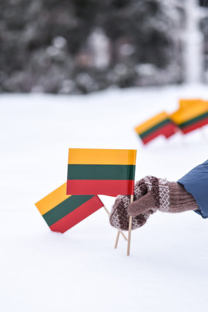 Woman hand holding Lithuanian flag in the snow. Selective focus.の写真素材