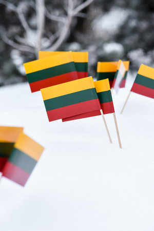 Lithuanian flags on sticks in the snow. Selective focus.の写真素材