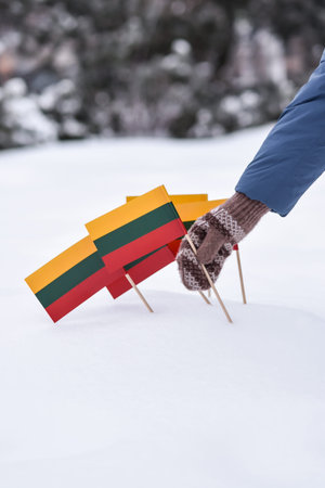 Close-up of a woman's hand holding the flag of Lithuania in the snowの写真素材