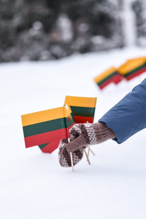 Close-up of woman's hand holding flag of Lithuania in winter forestの写真素材