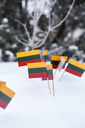 Lithuanian flags on sticks in the snow in a forestの写真素材