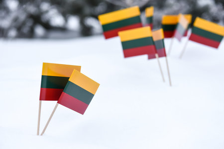 Small flags of Lithuania on a stick in the snow. selective focusの写真素材