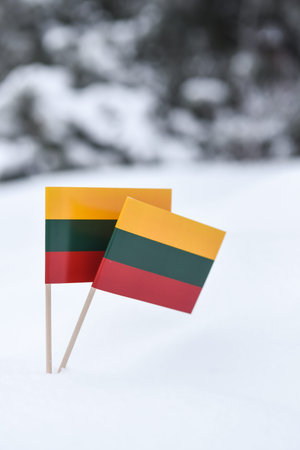 Two flags of Lithuania and Lithuania on the snow in the winter forestの写真素材