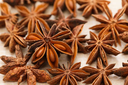 aniseedの写真素材