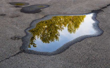 Rain puddle on gray, wet and shabby asphalt, with cracks. Reflection of gray green deciduous trees and blue sky.の写真素材