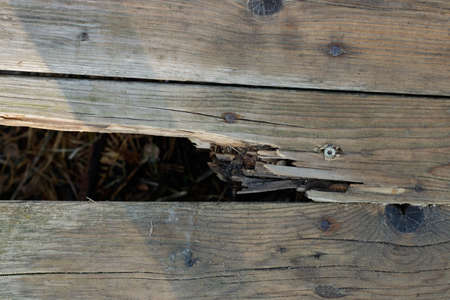 Late in the warm autumn forest. A small, sunlit roller coaster. Moss grows on it, old old leaves and dead tree branches have fallen on it. The light shines in the center.の写真素材