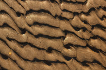 A puddle in a sea sand pit. The foam that makes up a funny, ghostly face or maybe it's like a bear....