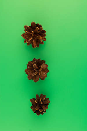 Magic cones of the Christmas tree. They are arranged on a modern green background. Each of them...