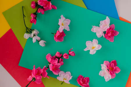 Colorful full background image with various rectangular cardboard, flowers on it, pink, white, soft pink. Romantic and joyful background.の写真素材