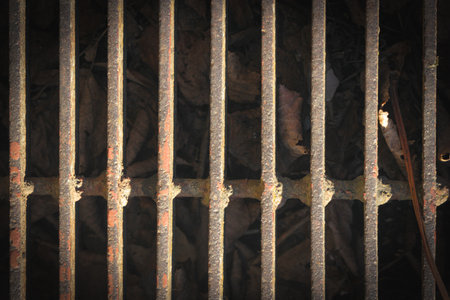 Eleven old rusty, horizontally placed metal grates, behind which dried brown autumn leaves have fallen. One restevertical on the right.の写真素材