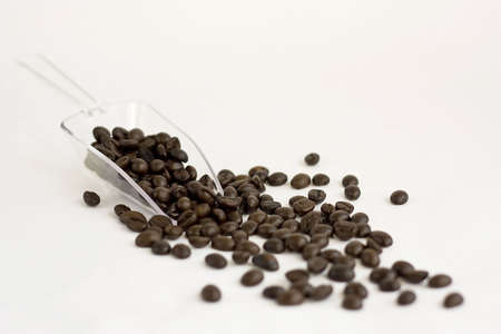 Scoop and coffee beansの写真素材