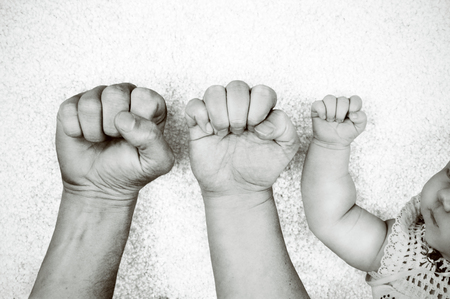 Black and white portrait of fathers, mothers and their babys fists next to each other.の写真素材