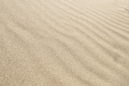 Golden sand ripples closeup at the beach.の写真素材