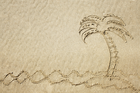 Drawing of a palm tree in the sand at the beach.の写真素材