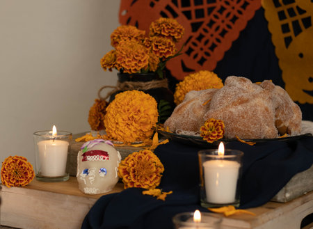 day of the dead mexican partyの写真素材