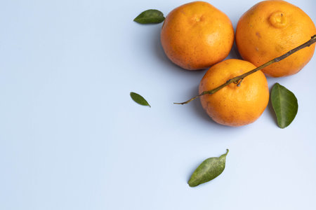 sliced ââtangerines on colored backgroundsの写真素材